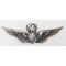 Vietnam Era Army Master Aircrew STERLING Marked Wings