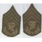 WWI Quartermaster Sergeant Match Set Of Chevrons