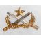 ARVN / South VIetnamese Army BDQ / Ranger Qualification Badge