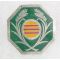 South Vietnamese Rural Development Pocket Badge