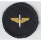 Early WWII AAF Winged Prop Overseas Cap Patch