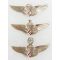Early 1960's Philippine Air Force Para-Medical Airborne Jump Wing Set