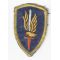 Vietnam 1st Aviation Brigade Patch