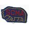1940's Southern California Military Academy Bear Patch