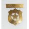 25th National Encampment Detroit 1891 GAR Medal / Badge