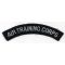 WWII RAF Air Training Corps Shoulder Title / Patch
