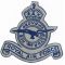 Royal Air Force Flocked Patch