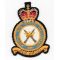 Royal Air Force Regiment Squadron Patch