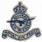 WWII Royal Air Force Flocked Patch