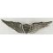 Vietnam Army Pilot Sand Cast Wing