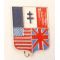 WWII Allied Nations Patriotic French Made Pin