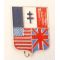 WWII Allied Nations Patriotic French Made Pin