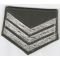 ARVN / South Vietnamese Army 1950's Civil Guard Sergeant First Class Bullion Chevron