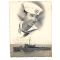 ARVN / South Vietnamese Navy Sailor & Ship Photo