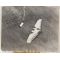 1930 Flying Wing Press Photo