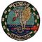 1950's-60's US Navy VA-55 WARHORSE Squadron Patch