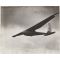 Lindbergh Press Photo Glider Experiment Carmel CA