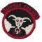 Vietnam US Air Force 34th Tactical Fighter Squadron Patch