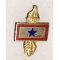 WWI - WWII Liberty's Flame / Torch One Star Son In Service Patriotic / Sweetheart Pin