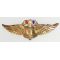 WWII Wings Of Liberty Sweetheart / Patriotic Pin