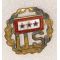 WWI Three Star Son In Service Patriotic / Sweetheart Pin