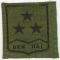 ARVN / South Vietnamese Army 3rd Division Patch.