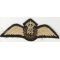 WWII RAF / Royal Air Force Pilots Wing
