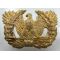 US Army Warrant Officer's Cap eagle