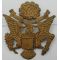 1920-30's US Army Officer's Eagle, Pin Back