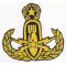 Army Master EOD / Explosive Ordnance Disposal Back Patch