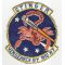 Vietnam US Air Force 18th Special Operations Squadron STINGER Squadron Patch