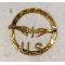 WWI Enlisted Aviation Patriotic / Sweetheart Pin