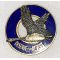 WWII AAF 12th Observation Squadron DI