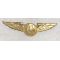 1950's-60's American Airlines Stewardess Gold Five Year Service Award  Wings