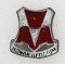 WWII - Occupation 325th Engineer Battalion DI