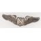 WWII Army Air Forces Service Pilot's Wing