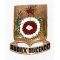 WWII - Occupation 159th Field Artillery Battalion DI