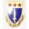 WWII 428th Infantry Regiment DI