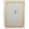 WWII THE FINAL THRUST 9th Infantry Division Invasion of Germany Unit History