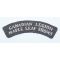 WWII Canadian Legion Maple Leaf Shows Shoulder Title