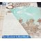 WWII era US Army 3rd Engineer Special Brigade Unit History Map