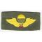 ARVN / South Vietnamese Army Pattern Basic Instructor Airborne Jump Wings