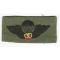 ARVN / South Vietnamese Army Pattern Basic Instructor Airborne Jump Wings