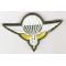 Vietnam Era Laotian Army Airborne Jump Wing