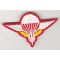 Vietnam Era Laotian Army Airborne Jump Wing