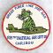 Vietnam US Air Force 535th Tactical Airlift GREER TIGER LINE Squadron Patch