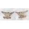 WWI Or Before Army Colonel's WAR EAGLES Shirt Size Rank