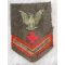 ​WWII 3rd Class Pharmacists Mate USN Attached To USMC Rate Patch