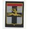 Cold War era French 7th Armored Brigade Patch