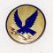 WWII Army Air Forces 4th Fighter Command DI